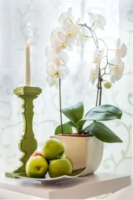 Planimetria di SERENA HOME