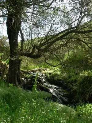 Paesaggio naturale nelle vicinanze dell'agriturismo