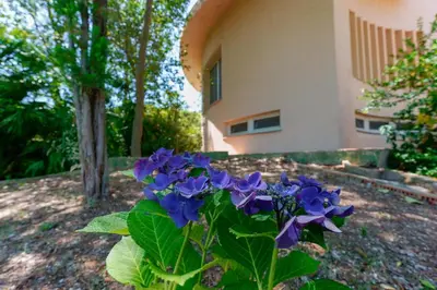 Giardino di B&B Villa Zola