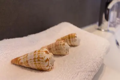 Cibo presso la casa vacanze o nelle vicinanze