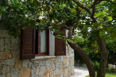 Giardino di Villa Sweet Simius