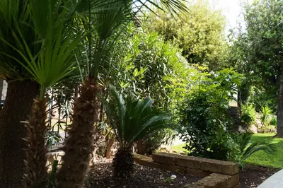 Giardino di Villa Sweet Simius