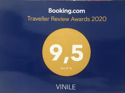 Certificato, attestato, insegna o altro documento esposto da VINILE