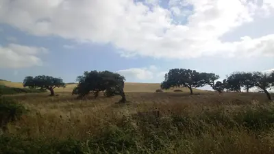 Paesaggio naturale nelle vicinanze dell'appartamento
