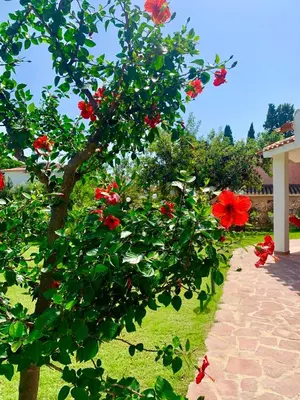 Giardino di Sa Corbula
