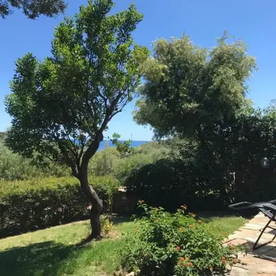 Domus Carlotta Apartment with sea view Villasimius