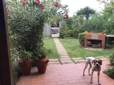 Ospiti di Villa Antonio con animali domestici