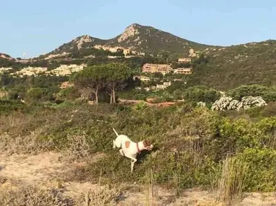 Paesaggio naturale nelle vicinanze della casa vacanze