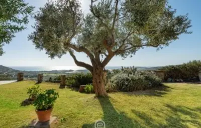 Paesaggio naturale nelle vicinanze della villa