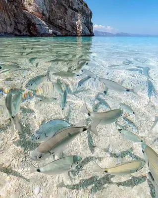 Paesaggio naturale nelle vicinanze dell'appartamento