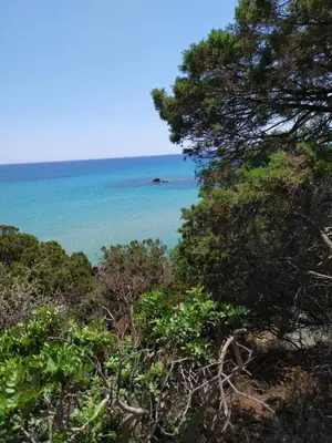 Paesaggio naturale nelle vicinanze dell'affittacamere