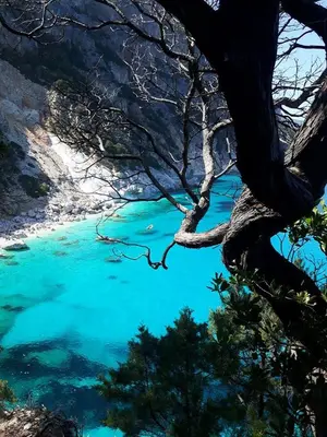 Paesaggio naturale nelle vicinanze dell'appartamento