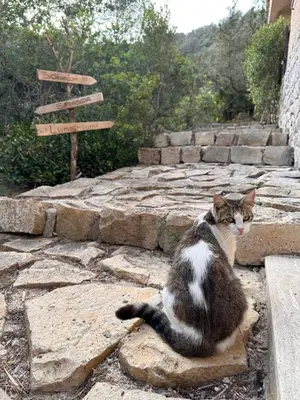 Ospiti di Villa sul Mare Calalunga Calasetta Sant Antioco con animali domestici