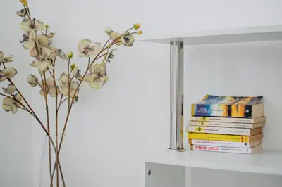 Biblioteca nell'appartamento