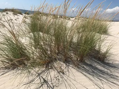 Paesaggio naturale nelle vicinanze della casa vacanze