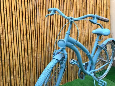 Attività di ciclismo presso il bed & breakfast o nelle vicinanze
