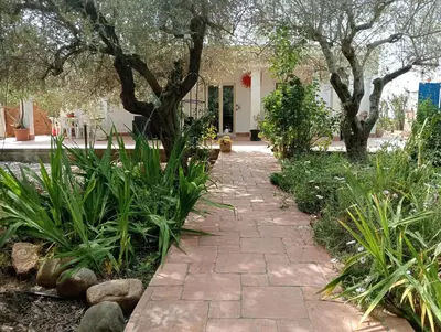 Giardino di Casa vacanze l'ulivo