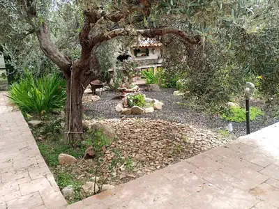 Giardino di Casa vacanze l'ulivo