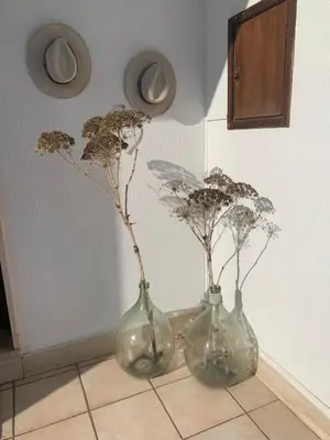 Planimetria di Casa Ohana