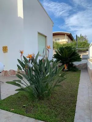 Giardino di Casa Ohana