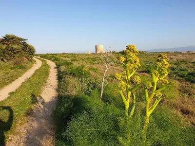 Paesaggio naturale nelle vicinanze dell'affittacamere