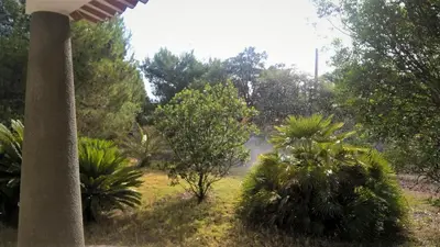 Giardino di Casa Monika