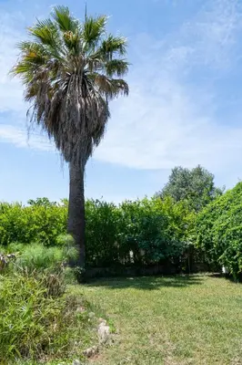 Giardino di Le Calle