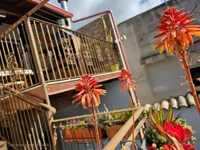 Balcone o terrazza di Casa Serena