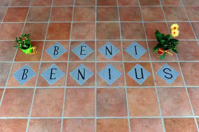 Planimetria di Is Bisus