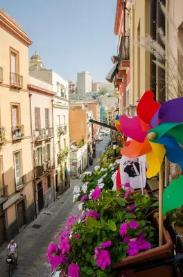 Il quartiere o una zona nella vicinanze dell'appartamento