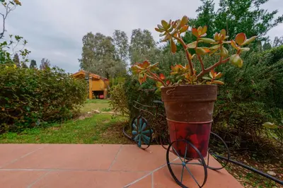 Giardino di B&B Gassa d'Amante