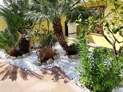 Giardino di Artistika Golden Apartment