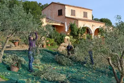 Giardino di Nurazzolas