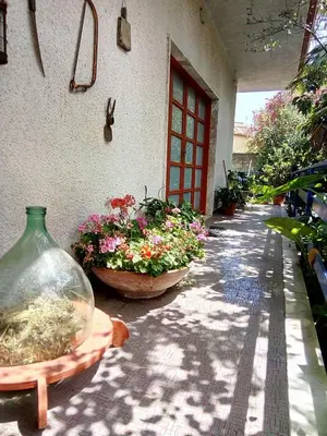 Giardino di Villa Ada