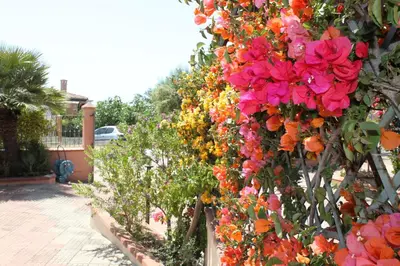Giardino di Arbatax Le Terrazze sul Mare