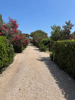 Giardino di villa Letizia