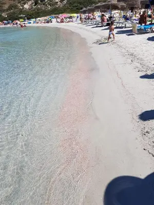 Paesaggio naturale nelle vicinanze della villa