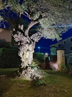 Giardino di Domu Cannuja