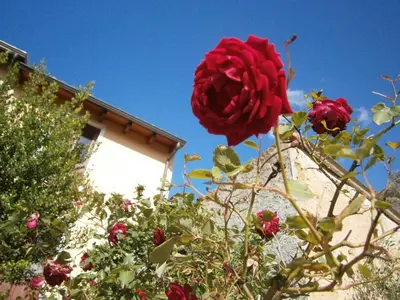 Planimetria di B&B S'ARROSA ANTIGA