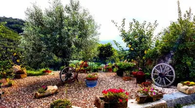 Giardino di Casa vacanza centro Sardegna