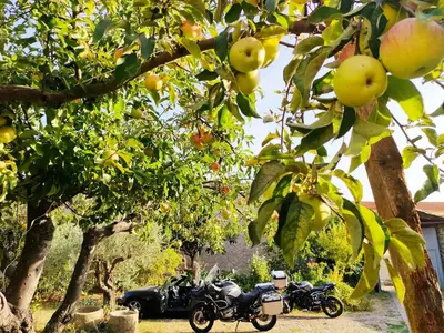 Giardino di Is Antas