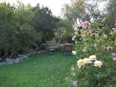 Giardino di Il Vecchioliveto di Ornella