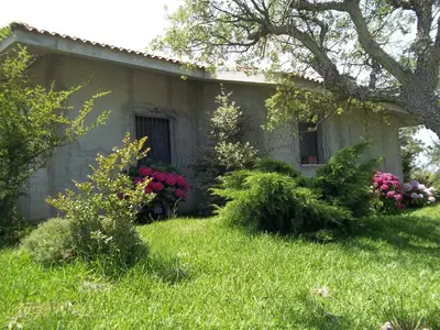 Giardino di Il Vecchioliveto di Ornella