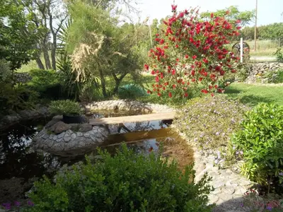 Giardino di Il Vecchioliveto di Ornella