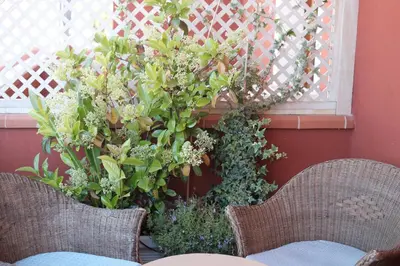 Giardino di Locanda degli Artisti