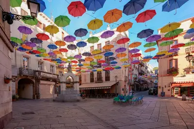 Planimetria di Il Palazz8