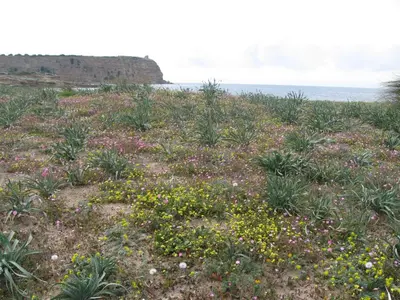 Paesaggio naturale nelle vicinanze della casa vacanze