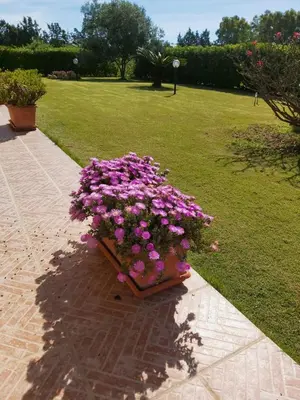 Giardino di Casa Martina