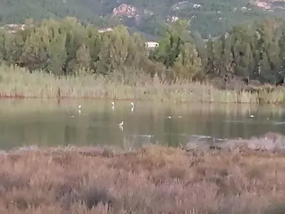 Paesaggio naturale nelle vicinanze dell'affittacamere