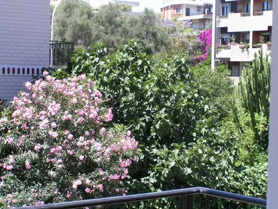 Giardino di Anania